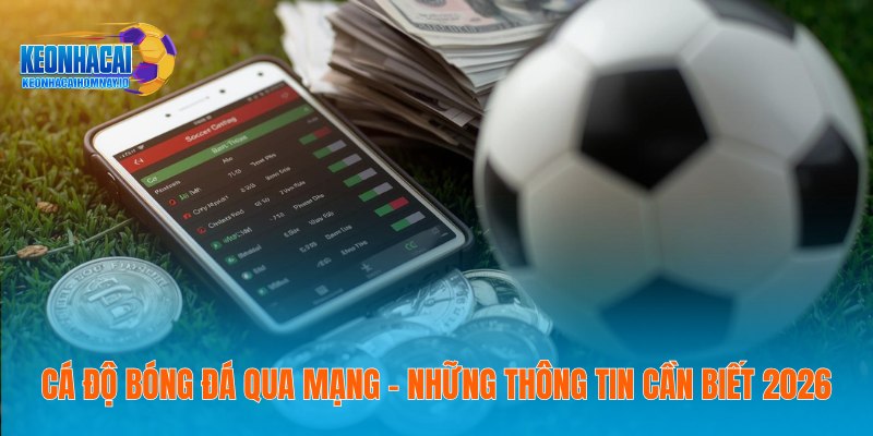 Cá Độ Bóng Đá Qua Mạng – Những Thông Tin Cần Biết 2026